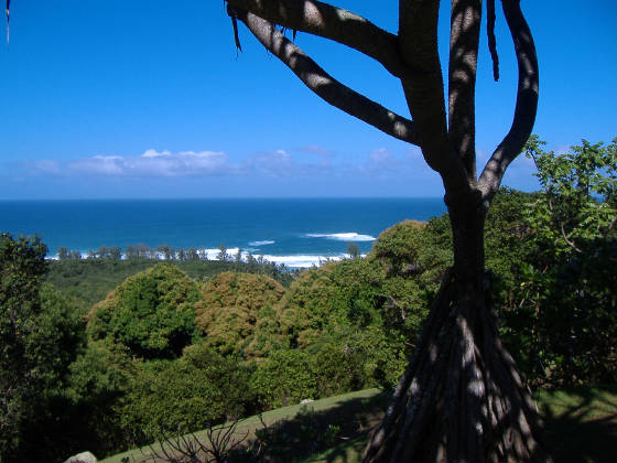 2007_0113kauai0284.jpg